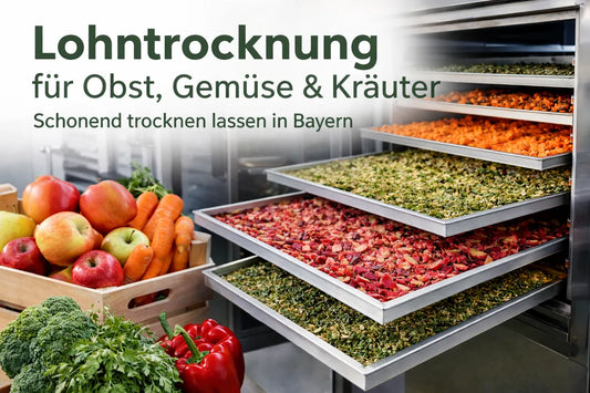 Lohntrocknung für Obst, Gemüse und Kräuter – schonende Trocknung für Lebensmittelproduktion