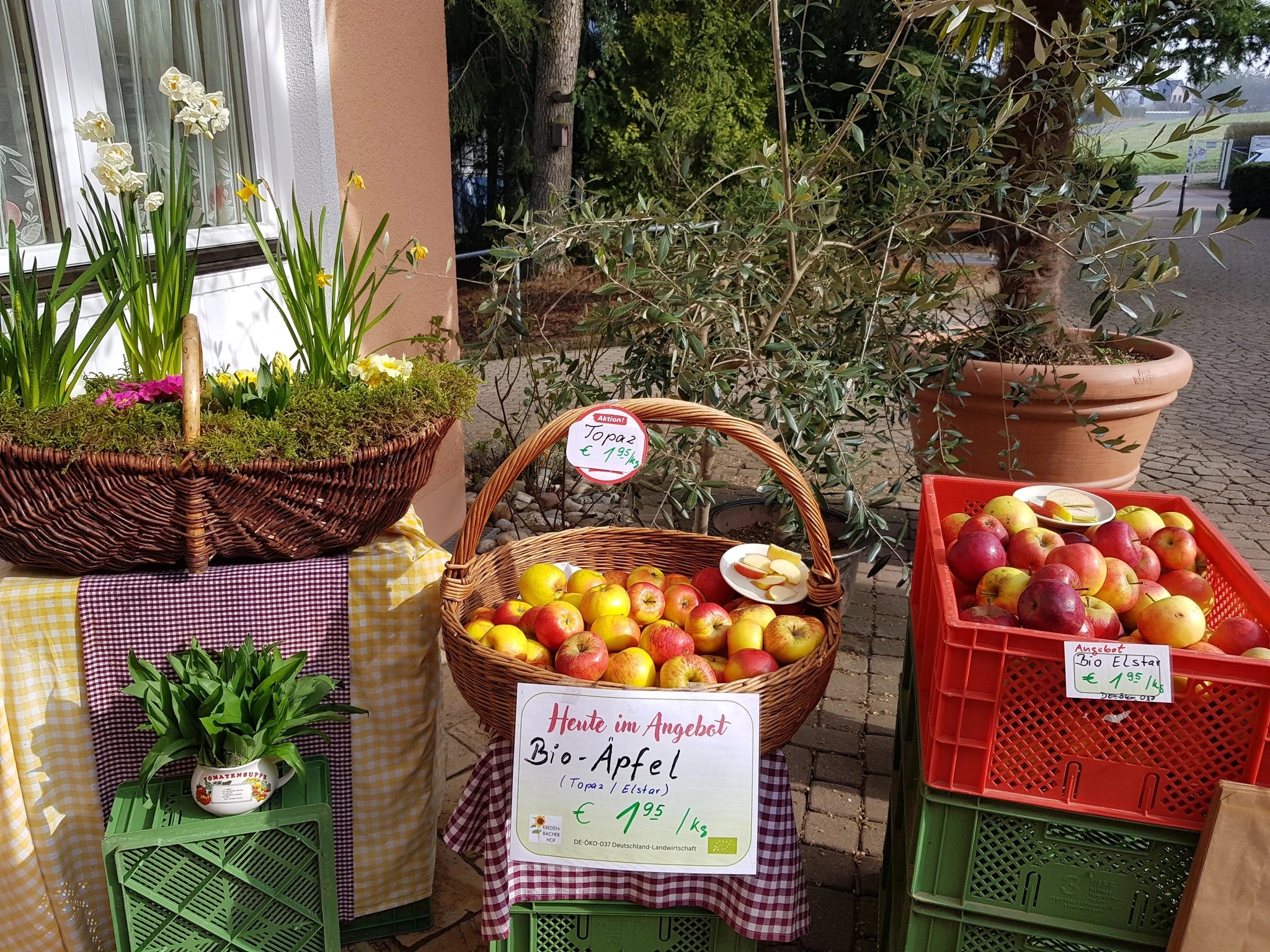 Frische knackige Bio Äpfel aus der günstig Ecke vor dem Hofladen des Kredenbacher Hofladens