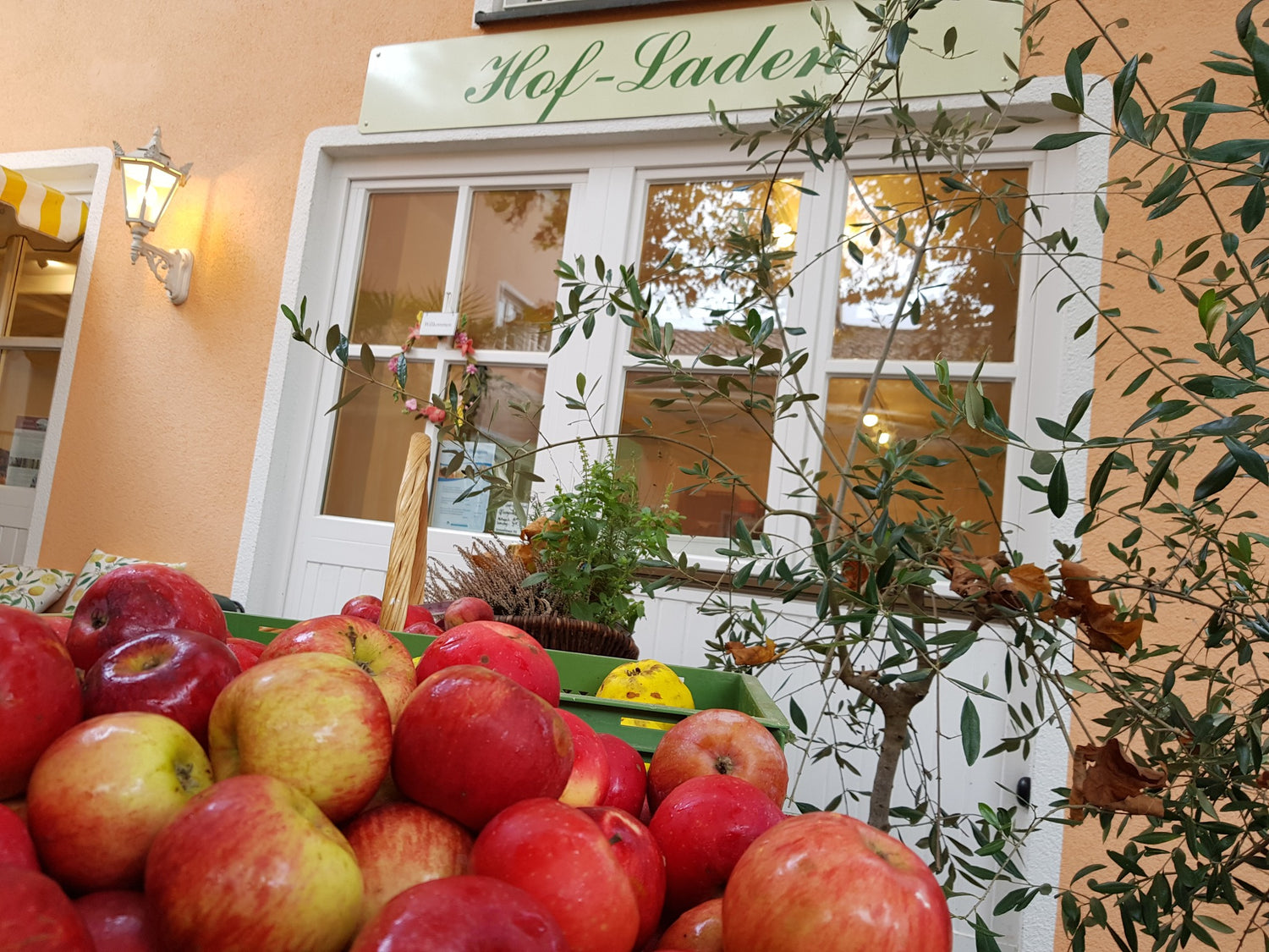 Äpfel vor Hofladen
