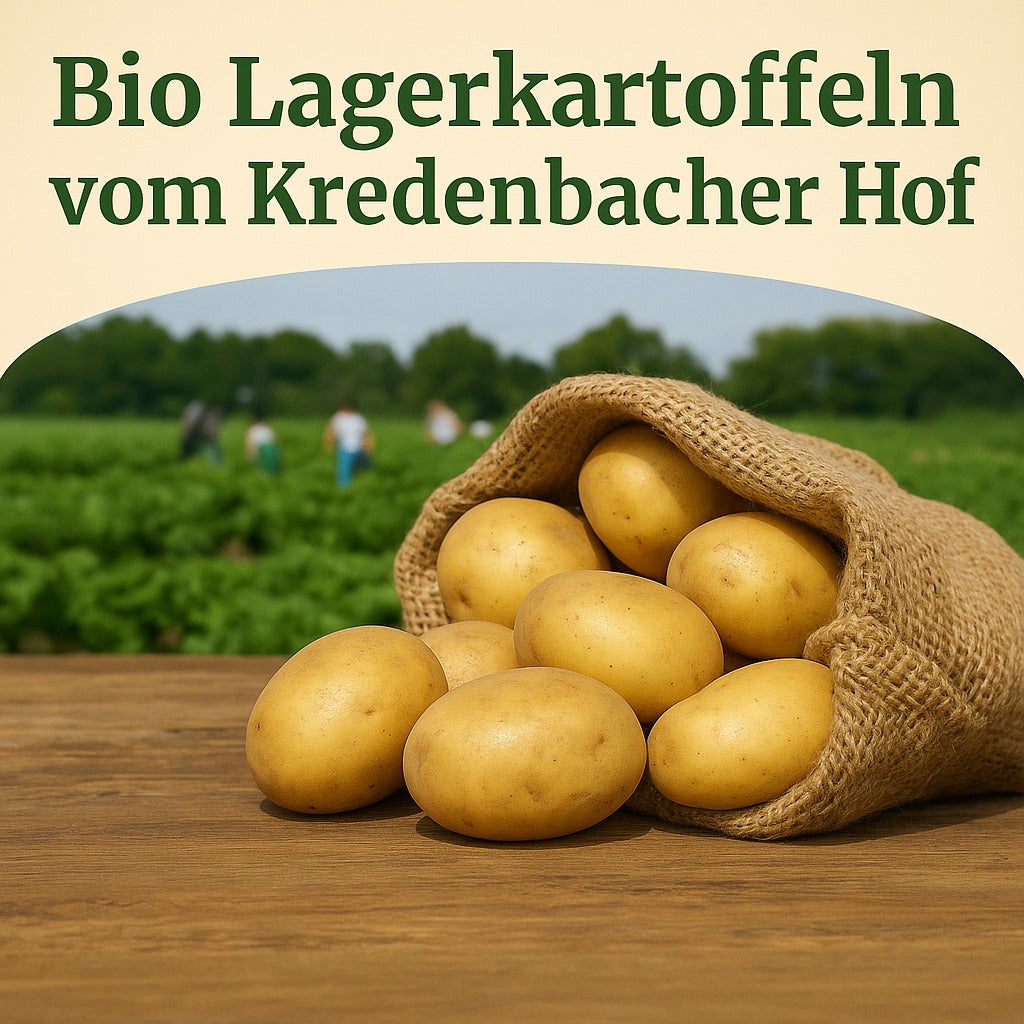Bio Lagerkartoffel Aktion