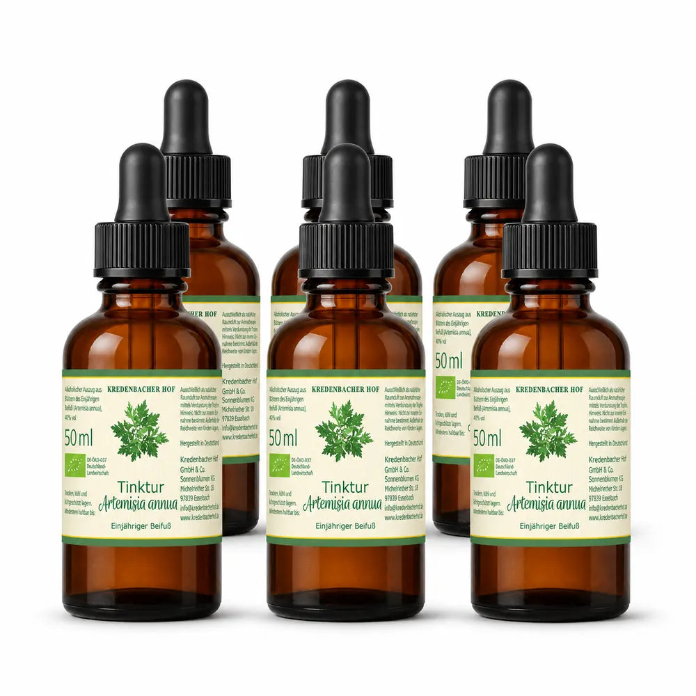 Sechs Fläschchen Artemisia annua Tinktur à 50 ml als natürlicher Raumduft