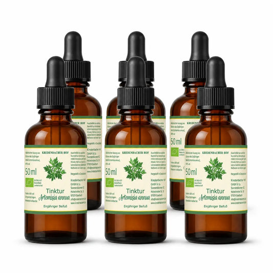 Sechs Fläschchen Artemisia annua Tinktur à 50 ml als natürlicher Raumduft