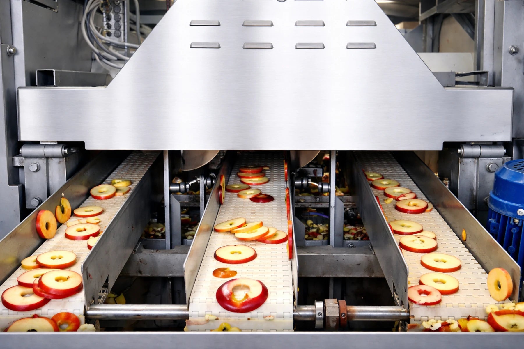 Bandtrockner aus Edelstahl mit Förderband zur industriellen Trocknung von Apfelscheiben für Apfelchips