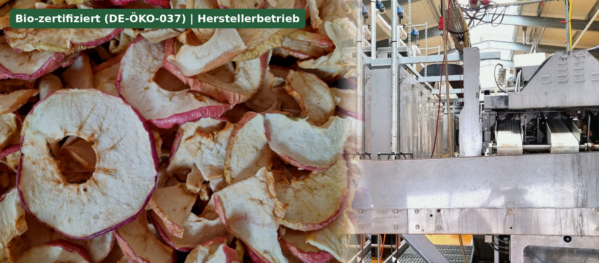 Bio Apfelchips Hersteller – schonend getrocknete Apfelchips aus eigener Produktion für Großhandel und Lebensmittelverarbeitung