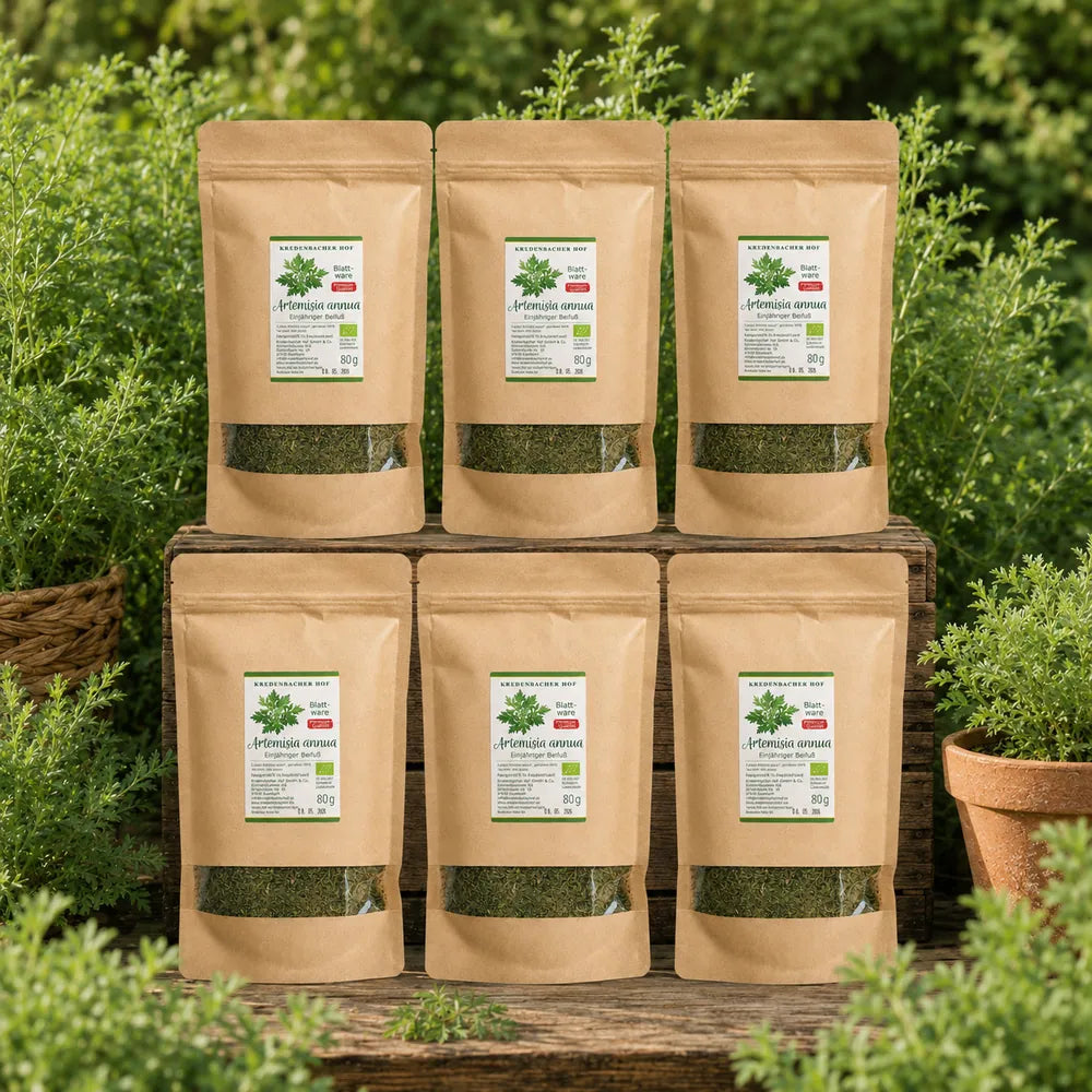 Bio Artemisia annua Blattware 6×80 g vom Kredenbacher Hof