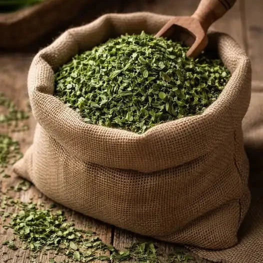 Getrockneter Bio-Bärlauch aus zertifizierter Wildsammlung, schonend getrocknet – Kredenbacher Hof