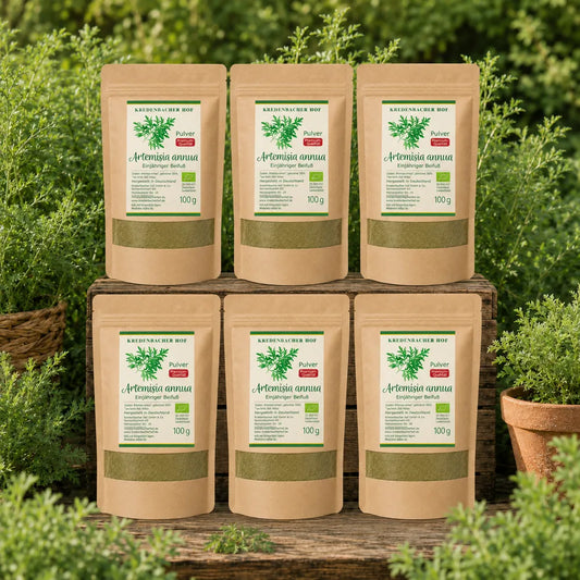 Bio Artemisia annua Pulver 6×100 g vom Kredenbacher Hof