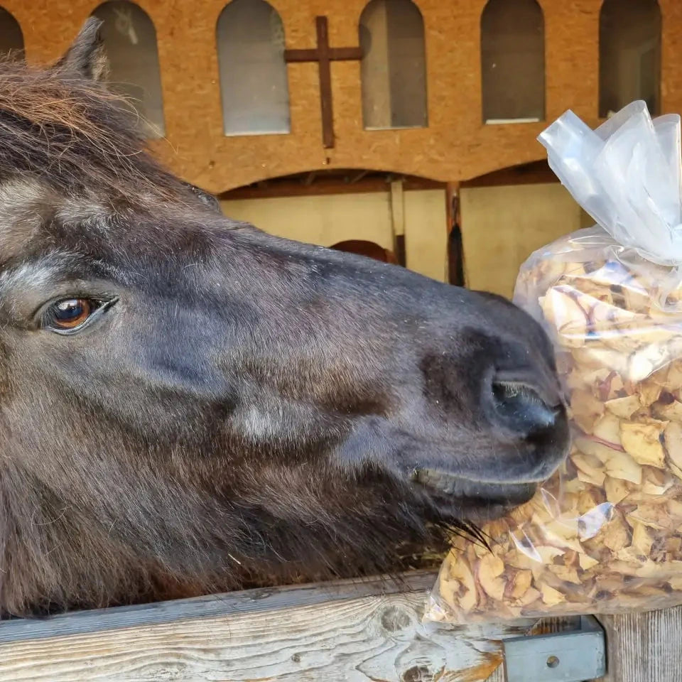 Bio Apfelchips für Tiere