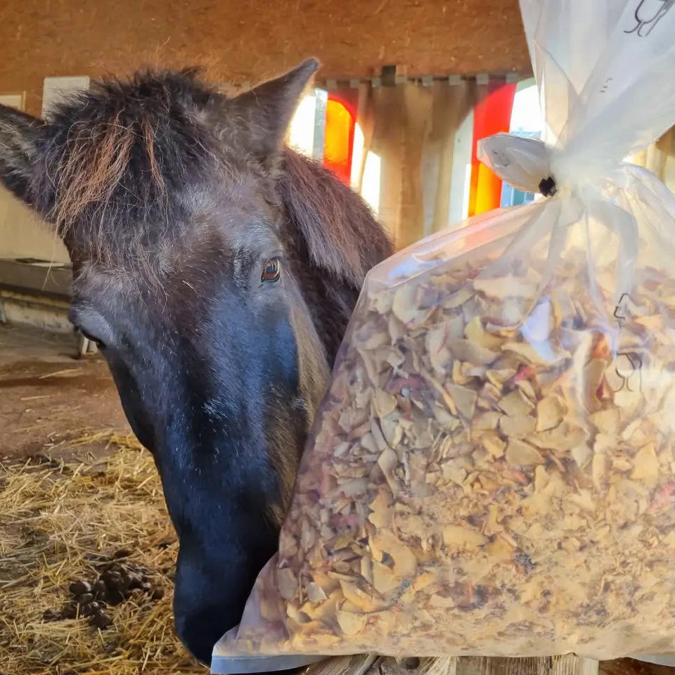 Bio Apfelchips (Bruch) für Pferde als Belohnungssnack