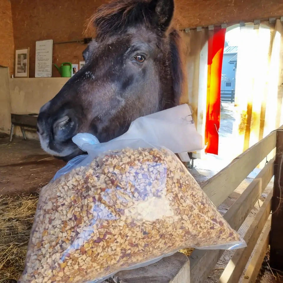 glückliches Pferd mit Bio Apfelwürfeln vom Kredenbacher Hof
